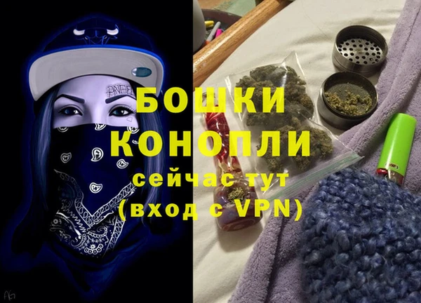 хмурый Ладушкин