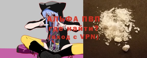хмурый Ладушкин
