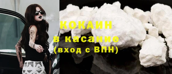 индика Лагань
