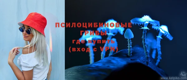 индика Лагань