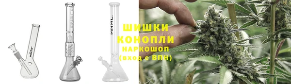 хмурый Ладушкин