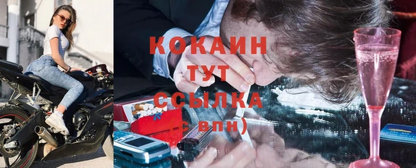 индика Лагань