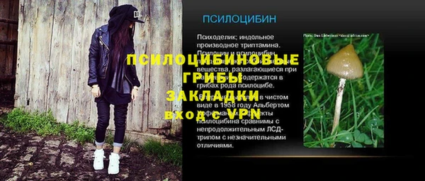крисы Лабытнанги