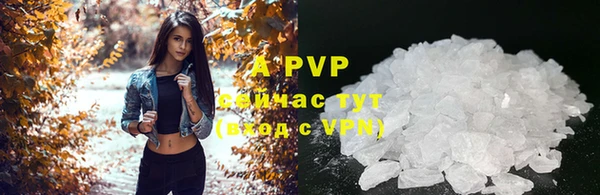 индика Лагань