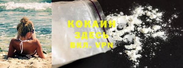 индика Лагань