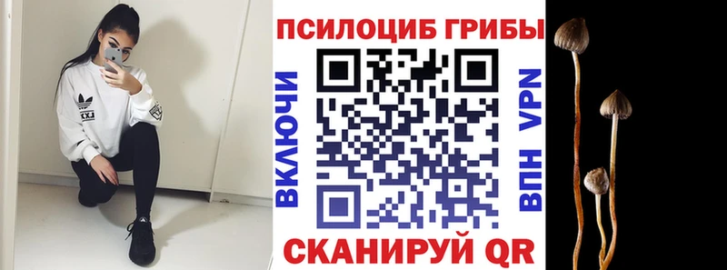 мориарти состав  Узловая  Псилоцибиновые грибы Psilocybe 