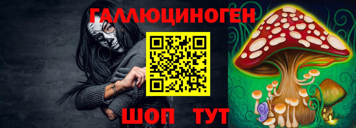Узловая  Галлюциногенные грибы GOLDEN TEACHER  Вход с VPN 