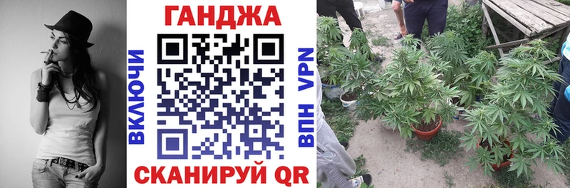 где продают   Узловая  Канабис планчик 